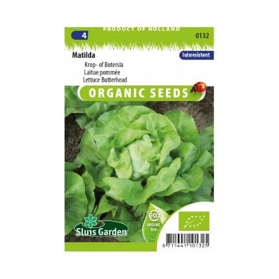 SL0132 Lettuce Butterhead Matilda  BIO