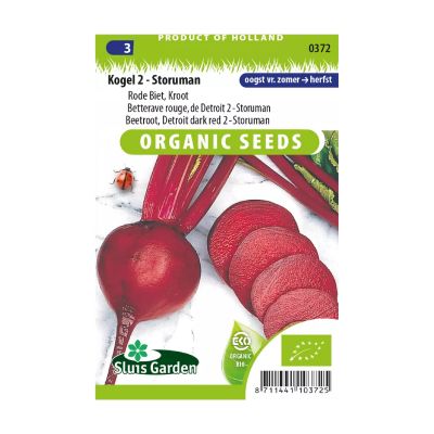 SL0372 Beetroot Detroit dark red 2 - Storuman  BIO