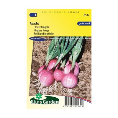 SL0532 Bunching Onion Apache