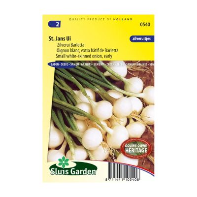 SL0540 Onion Barletta