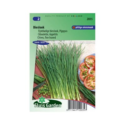 SL2035 Chives fine leaved