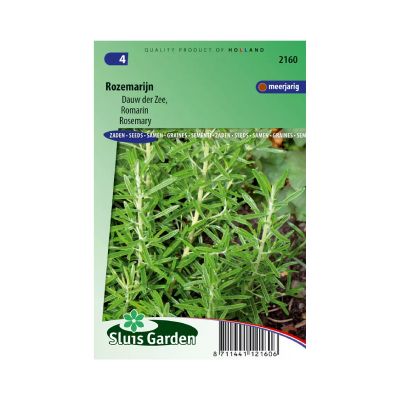 SL2160 Rosemary