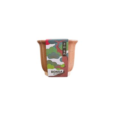 SEI-BONSAI GROWING KIT - RED PINE (PPC) - NETT