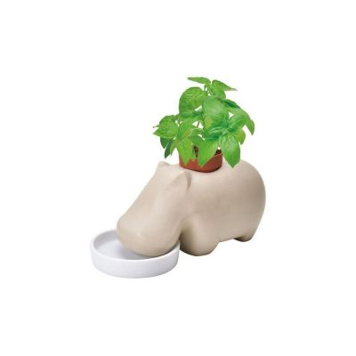 SEI-HIPPOPLANT - BEIGE - SWEET BASIL (PPC) - NETT