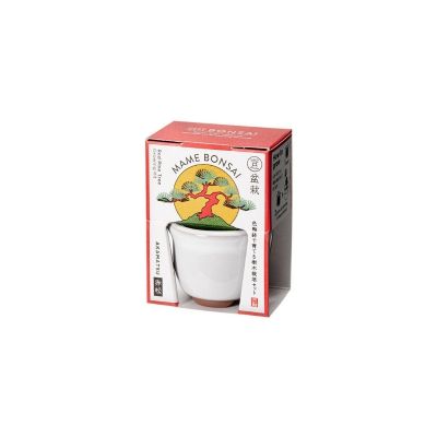 SEI-HACO MAME BONSAI - RED PINE (PPC) - NETT