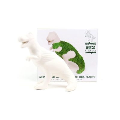 GR-PLANTER CHIA-SAURUS-REX - SEEDS (PPC) - NETT