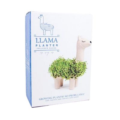 GR-PLANTER LLAMA - SEEDS (PPC) - NETT