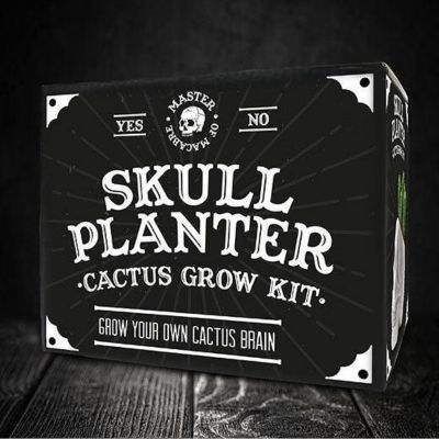 GR-PLANTER SKULL CACTUS (PPC) - NETT