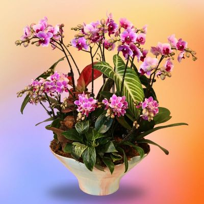 SAKURESSENCE (THIRD PLACE ASSORTED 16 STK IN COLORFUL BOWL POT)