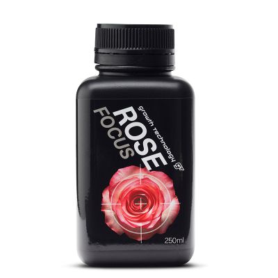 GT ROSE FOCUS 250ML