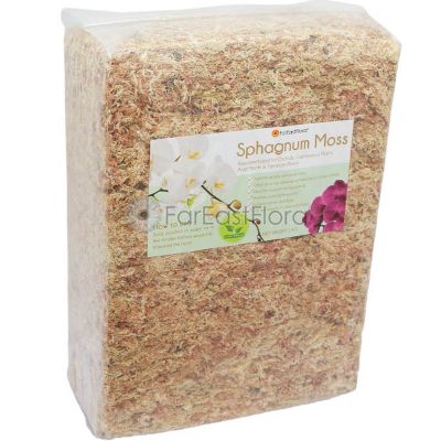 CHILEAN SPHAGNUM MOSS (1KG)