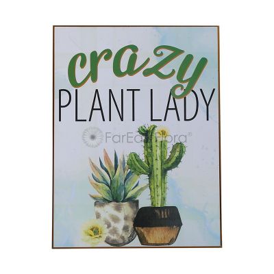 STUDIO WALL ART CRAZY PLANT LADY 24X32cm (SF)