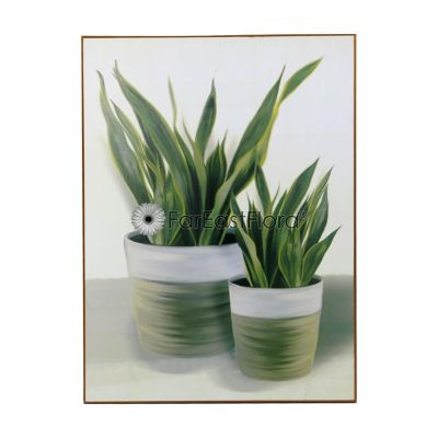 STUDIO WALL ART SANSEVIERA LARGE 38X52CM (SF)